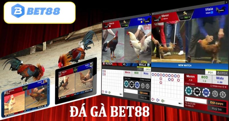 Tìm hiểu game đá gà Bet88